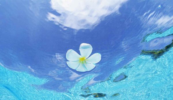 Coaching basado en la filosofía de Louise Hay